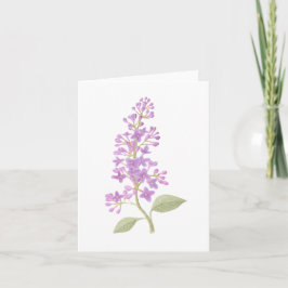 Tarjeta Lilac