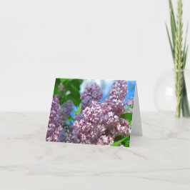 Tarjeta Lilac 1