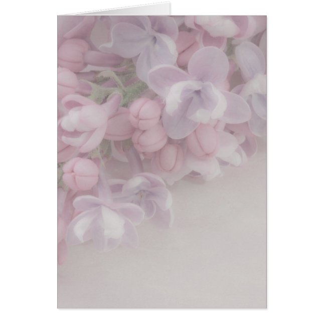 Tarjeta Lilac Blossom (Frente)
