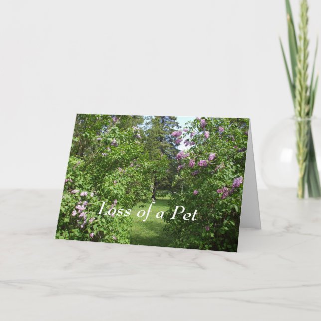 Tarjeta Lilac Bush encantadora de simpatía mascota (Anverso)