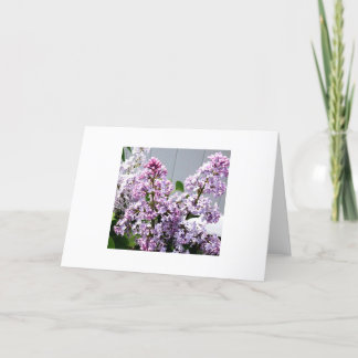 Tarjeta Lilacs