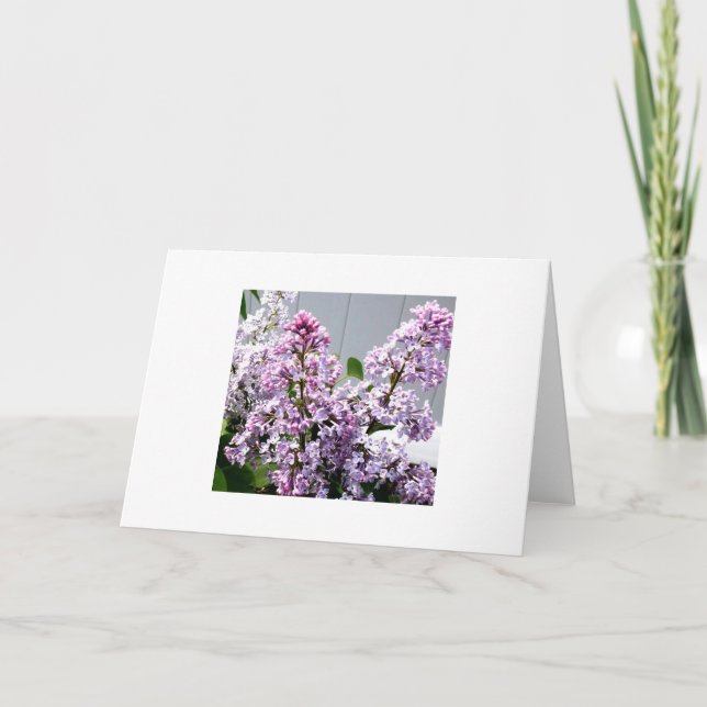 Tarjeta Lilacs (Anverso)