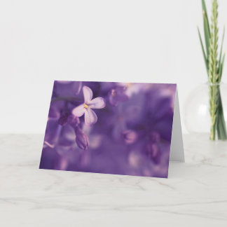 Tarjeta Lilacs, Blank Card, fotografía floral, saludos