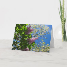 Tarjeta Lilacs y flores de cerezo - Viñedo de Martha