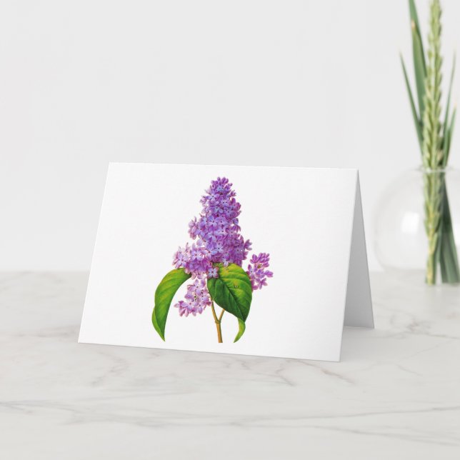 Tarjeta Lilas de Redoute (Anverso)