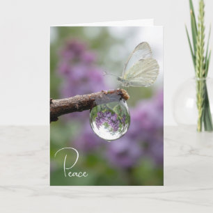 Tarjeta Lilas de simpatía reflejadas en una gota de lluvia