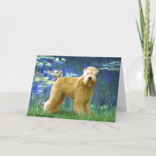 Tarjeta Lilies 5 - Wheaten Terrier (stand)