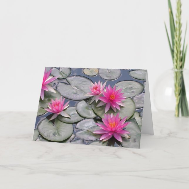 Tarjeta Lilies de agua rosada (Anverso)