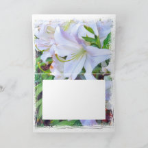 Lilium ‘Casa Blanca’ [Tarjeta de felicitación]