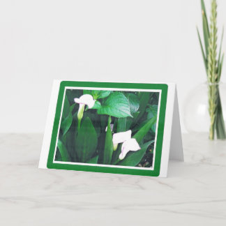 TARJETA LILLIES BLANCO