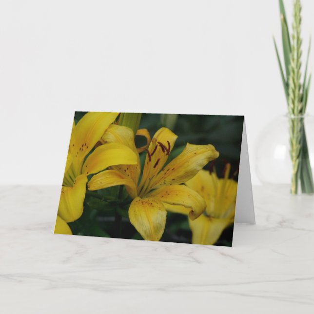 Tarjeta Lilly (Anverso)