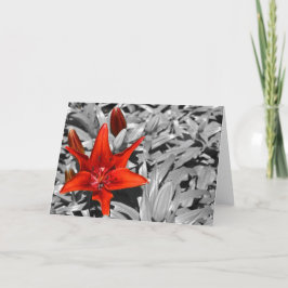 Tarjeta Lily