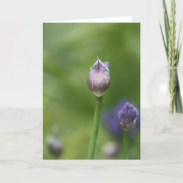 Tarjeta Lily africana