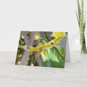 Tarjeta Lily amarilla Blank