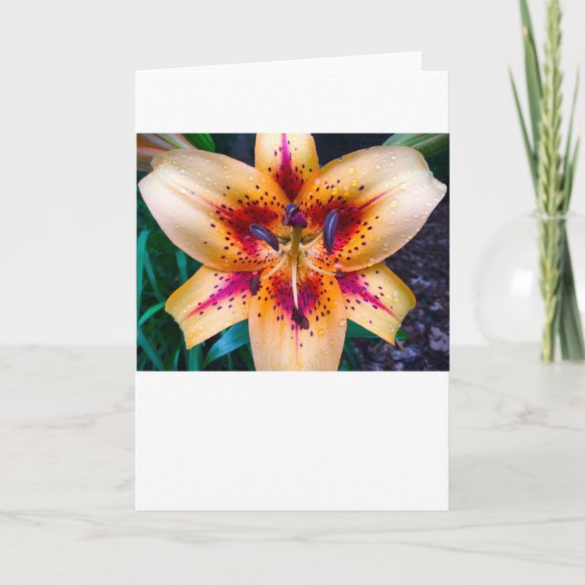 Tarjeta Lily, Card (Anverso)