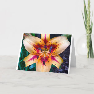 Tarjeta Lily, Card