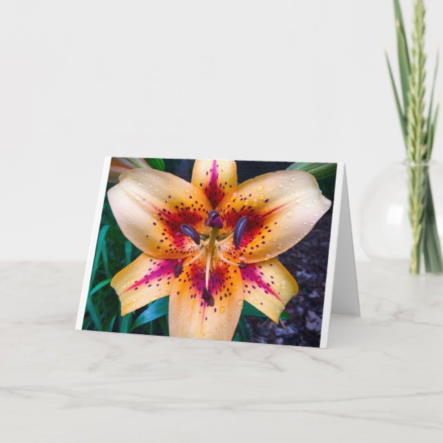 Tarjeta Lily, Card (Anverso)