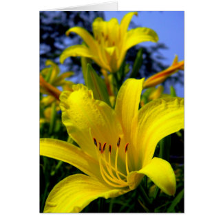 Tarjeta Lily Day