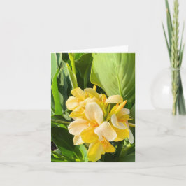 Tarjeta Lily De Canna Amarilla En Una Fotografía De Jardín