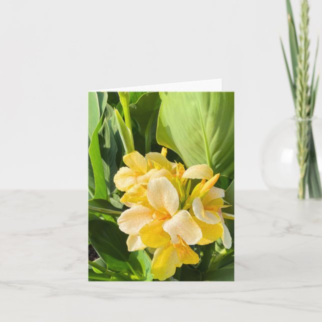 Tarjeta Lily De Canna Amarilla En Una Fotografía De Jardín (Anverso)