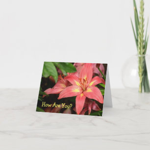 TARJETA "LILY DE DÍA NARANJA-ROJO Y AMARILLO"