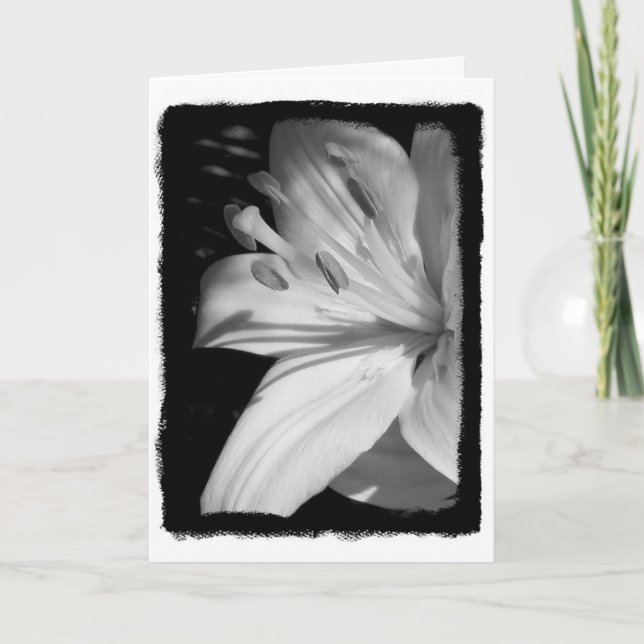 Tarjeta Lily de simpatía (Anverso)