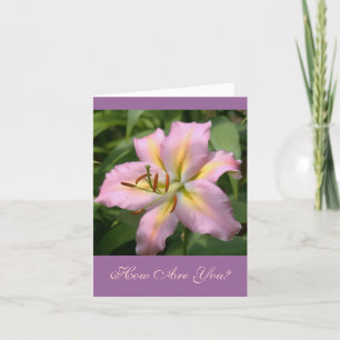 TARJETA "LILY DEL DÍA DE LOS PINCOS Y AMARILLOS/¿CÓMO ESTÁ