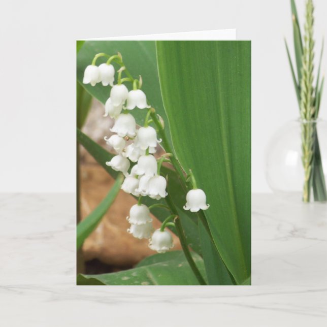 Tarjeta Lily del Valle (Anverso)