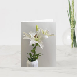 Tarjeta Lily Lullaby | Pintura floral blanca simple
