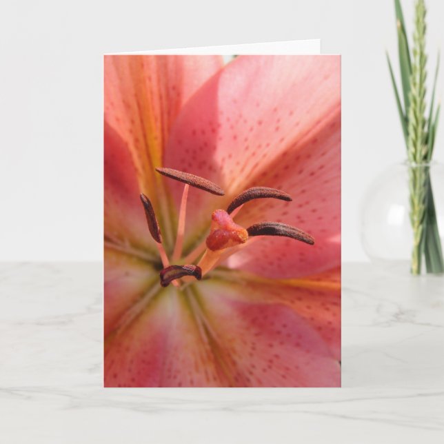 Tarjeta Lily Macro (Anverso)