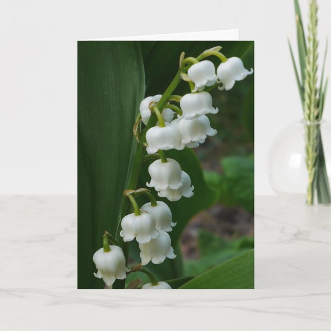 Tarjeta Lily-of-the-Valley (Anverso)