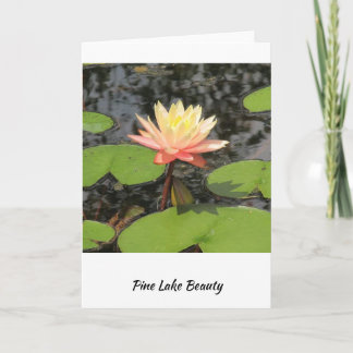 Tarjeta ¡Lily Pad, belleza!