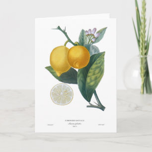 Tarjeta Limón