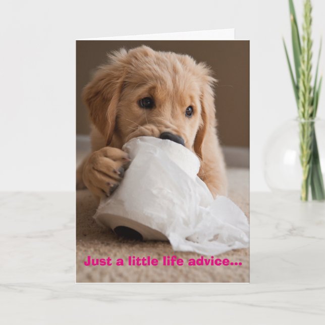 Tarjeta Limpie Bien (Anverso)