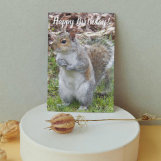 Tarjeta Linda Ardilla Gris Divertido Cumpleaños
