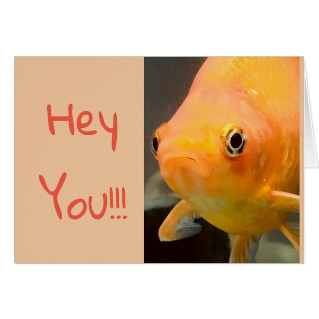 Tarjeta linda del acuario (Anverso (Horizontal))