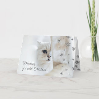 Tarjeta linda del día de fiesta del gato del