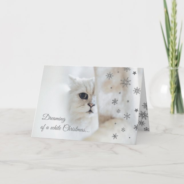 Tarjeta linda del día de fiesta del gato del (Anverso)