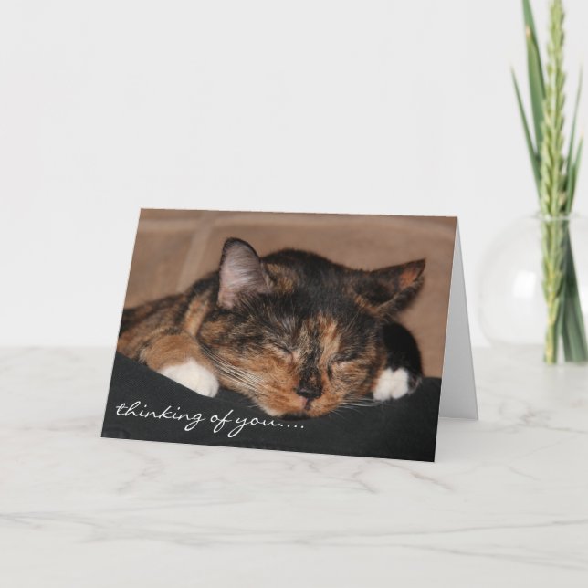 Tarjeta linda del gato el dormir, pensando en (Anverso)