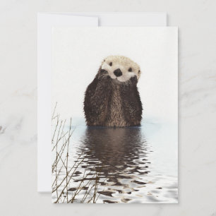 Tarjeta Linda Nutria Esponjosa Adorable Animal