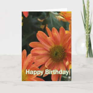 Tarjeta Lindas flores de margarita naranja feliz cumpleaño