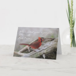 Tarjeta Lindo cardenal con dicho