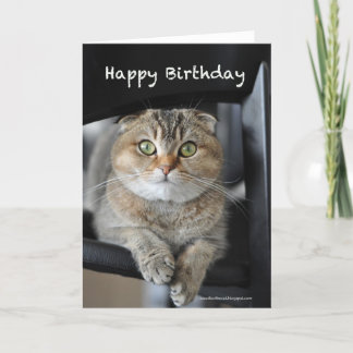 Tarjeta lindo escocés doblar fideos gato feliz cumpleaños