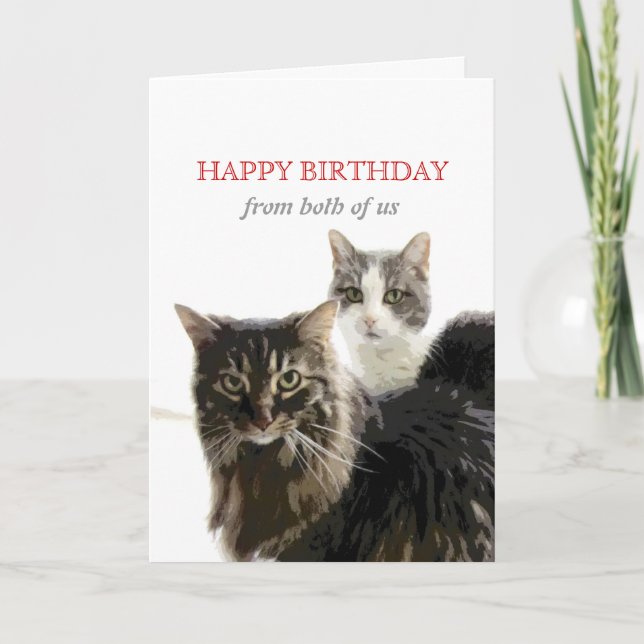 Tarjeta lindo gatito de gatito Cumpleaños Card de ambos (Anverso)