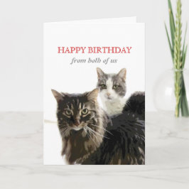 Tarjeta lindo gatito de gatito Cumpleaños Card de ambos