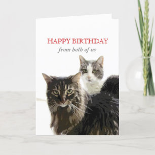 Tarjeta lindo gatito de gatito Cumpleaños Card de ambos