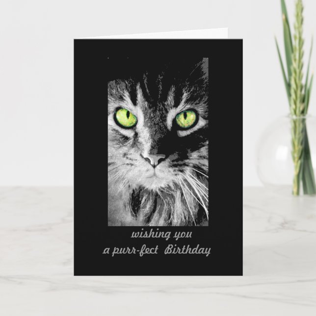 Tarjeta lindo gatito de gatito Cumpleaños Fotos arte humor (Anverso)