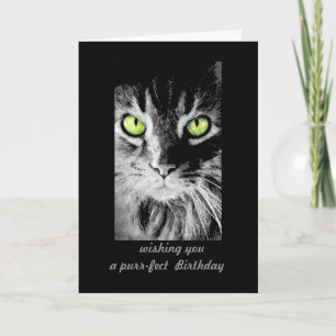 Tarjeta lindo gatito de gatito Cumpleaños Fotos arte humor