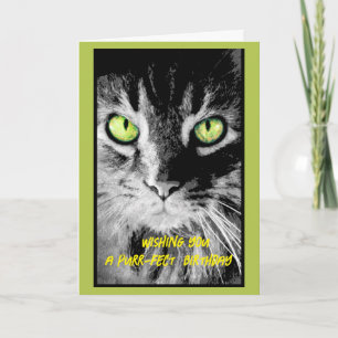 Tarjeta lindo gato de gatito de cumpleaños foto arte humor