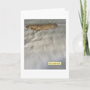 Tarjeta Lindo He Estado Ocupado Dachshund